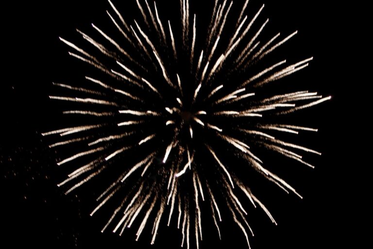 The Georgia Mountain Fairgrounds welcomed New Year’s revelers for free fireworks on Dec. 31. Photo by Lowell Nicholson