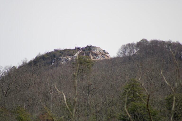 Bell Mountain County Park can be found at the top of Bell Mountain in Hiawassee. Photo by Lowell Nicholson