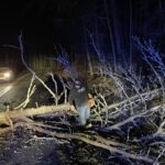 Union County Road Department employees responded swiftly to reports of downed trees in last week’s overnight storm. Photo by Chris Collins