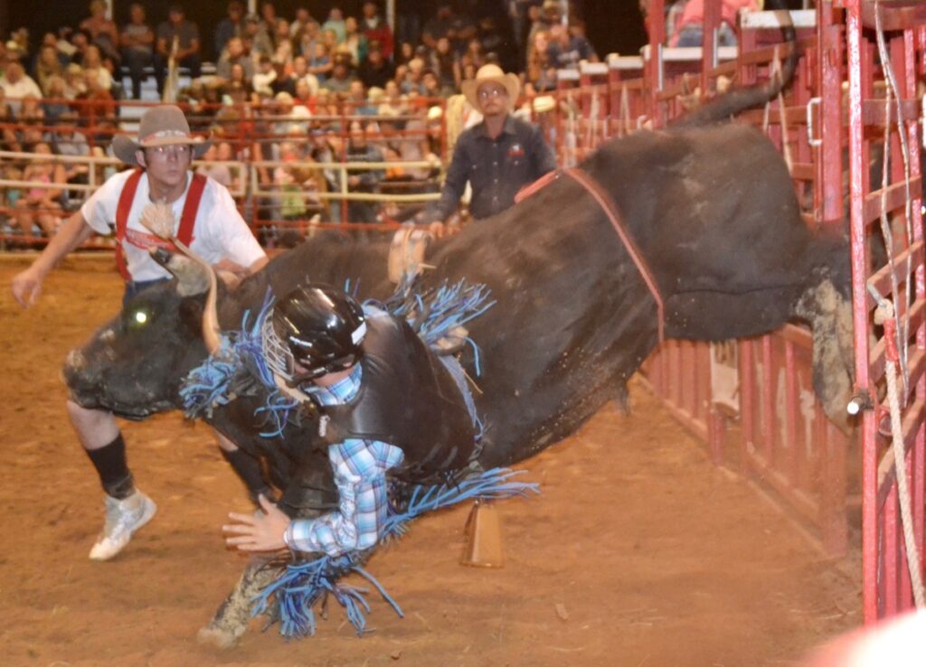 Bull riding is a particularly high-octane sport that will be bringing to town multiple daring riders June 20-21 for the return of the IPRA-sanctioned Blairsville Pro Rodeo. Photo by Lowell Nicholson/2021
