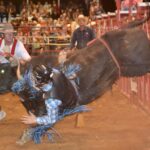 Bull riding is a particularly high-octane sport that will be bringing to town multiple daring riders June 20-21 for the return of the IPRA-sanctioned Blairsville Pro Rodeo. Photo by Lowell Nicholson/2021