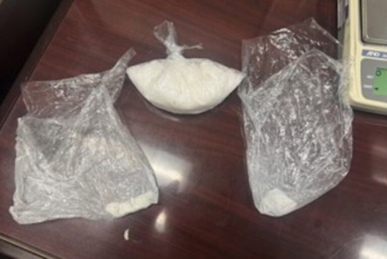 The Union County Sheriff’s Office and Fannin County Sheriff’s Office seized a large quantity of drugs following a recent investigation.