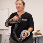 Georgia DNR Wildlife Interpretive Specialist Kathy Church handling a live eastern rat snake during her July 11 “Snakes Alive” presentation. Photo by Daysha Pandolph