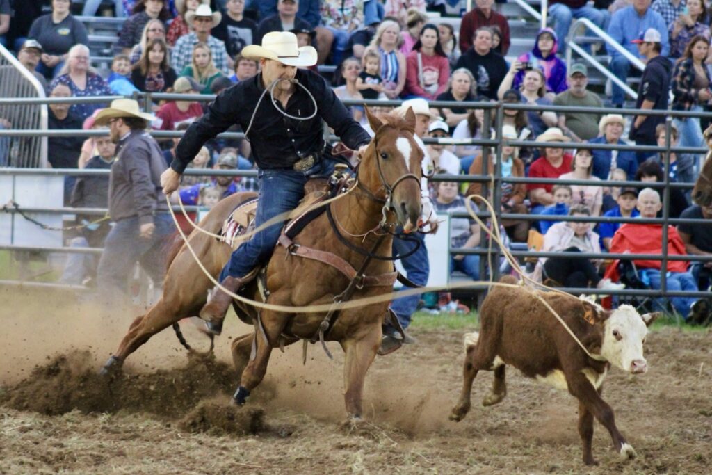 Calf roping is just one of the many exciting events on offer at the Hiawassee Pro Rodeo, which rides into town this weekend. Photo by Lowell Nicholson/2023