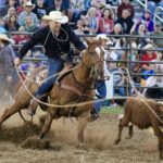 Calf roping is just one of the many exciting events on offer at the Hiawassee Pro Rodeo, which rides into town this weekend. Photo by Lowell Nicholson/2023