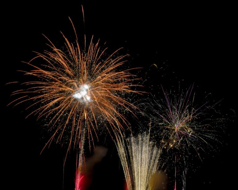 Be sure to head over to the Georgia Mountain Fairgrounds in Hiawassee for a FREE fireworks display – fun for the whole family on New Year’s Eve!