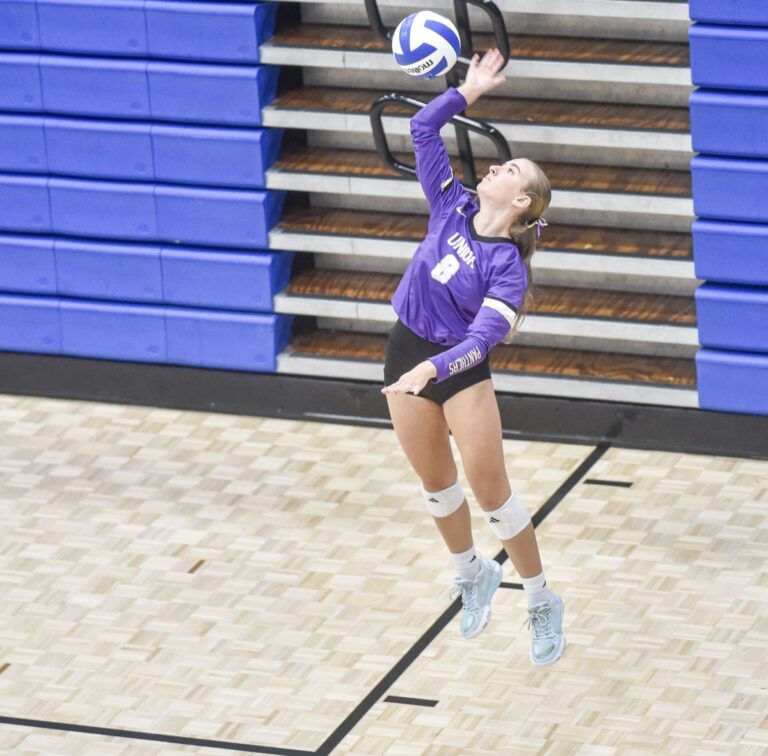 Senior Amie Sauers ended the Fannin County tournament with 32 kills and 11 aces.